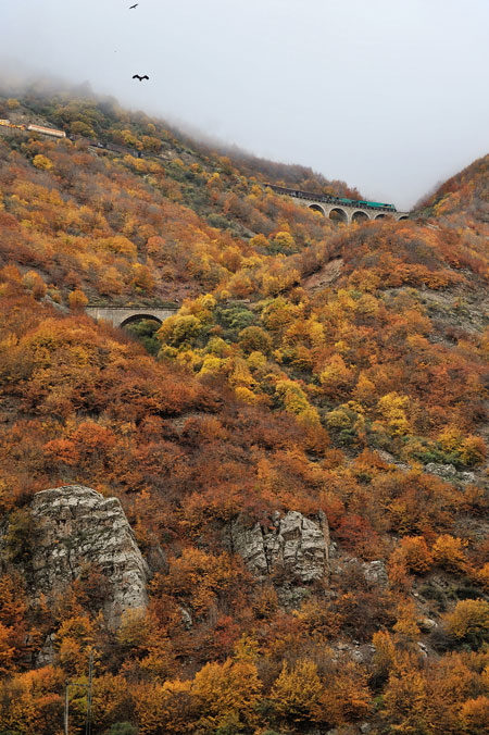 Railways in Iran