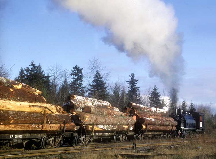 Logging train, photo: Bob Turner