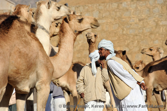 Auf dem Kamelmarkt von Keren