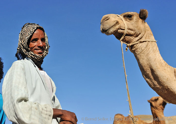 camel market in Keren, Eritrea