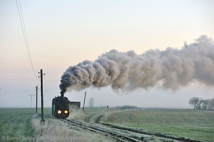 Dampf auf Schmalspurbahnen in Polen