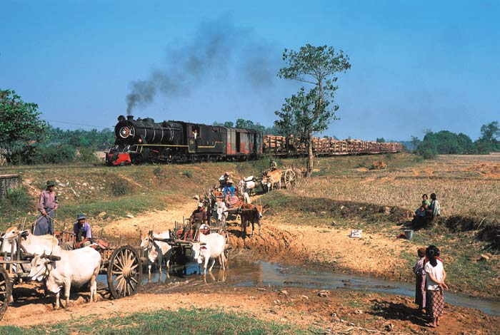 the wood train