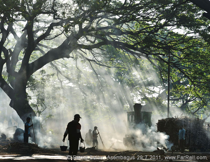 smoky Asembagus