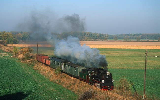 Steam train Gniezno - Anastazewo
