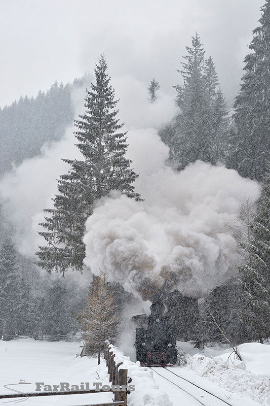 Winter steam on Romanian forestry lines