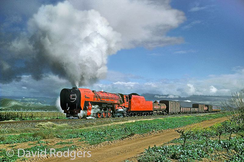 Cape Gauge Steam in South Africa, Red Devil